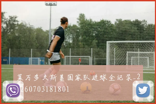 莱万多夫斯基国家队进球全记录_20260703181801